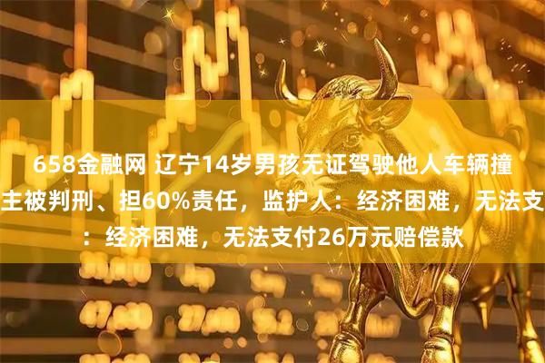 658金融网 辽宁14岁男孩无证驾驶他人车辆撞死60岁女子，车主被判刑、担60%责任，监护人：经济困难，无法支付26万元赔偿款
